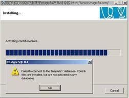 安全软件导致的Magicflu安装问题解析