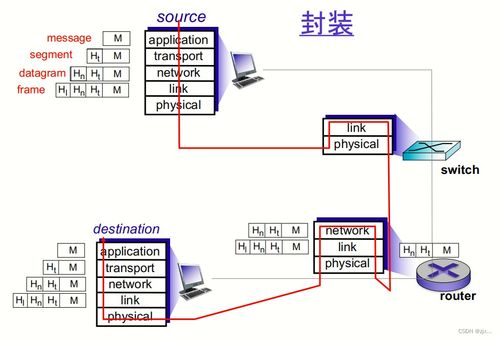 计算机网络与因特网 网络与信息安全软件开发的关键基础